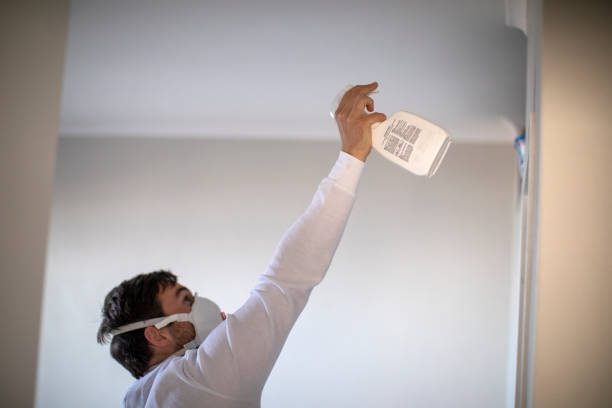 Best Mold Removal Company Near Me  in Horseshoe Bay, TX