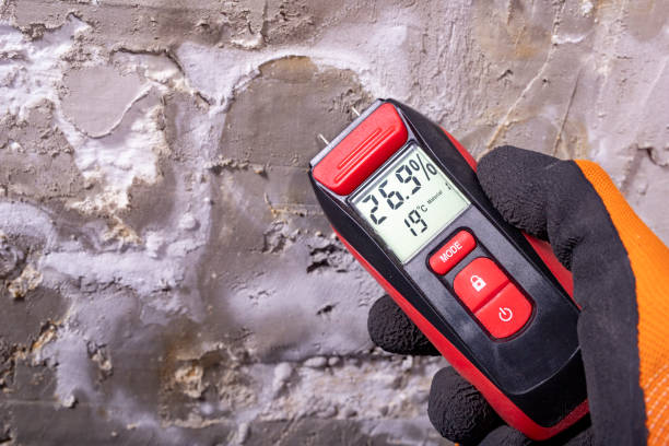 Best Best Mold Removal Companies  in Horseshoe Bay, TX