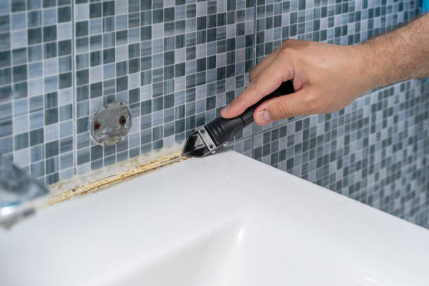 Mold Removal Process in Horseshoe Bay, TX